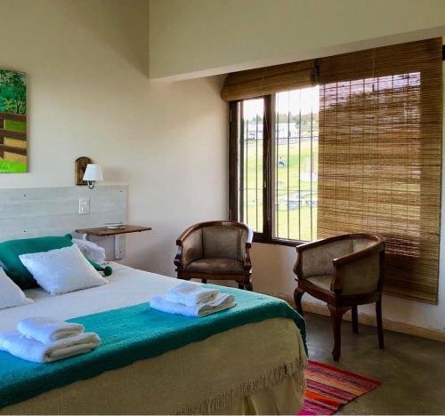 Puro Campo in Tafi Del Valle, Argentina