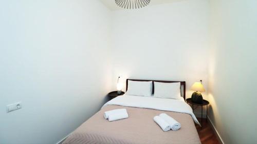 Super Cozy Apartment In the City Center