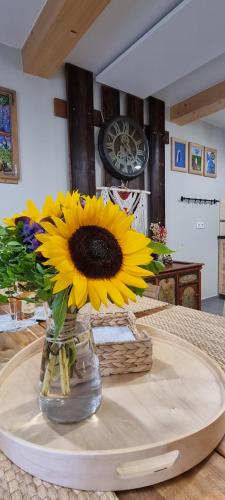 Apartamenty Siedlisko pod Aniołem — Zubrzyca Gorna — photo 5