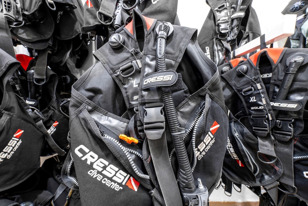 פעילויות וכושר