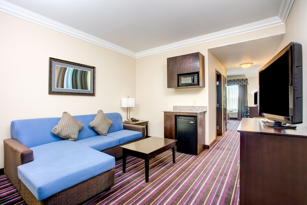 Holiday Inn Express Hotel & Suites Raceland Highway 90 by IHG - photo 8