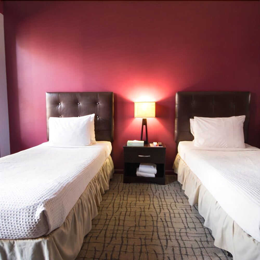 The Broadway Hotel and Hostel - photo 12