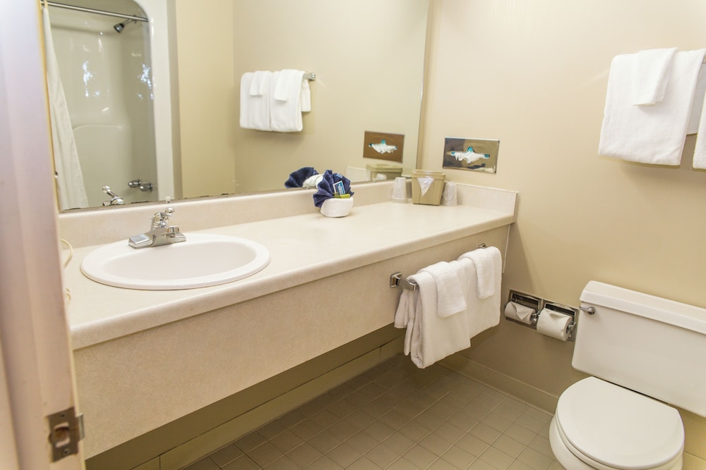 The Inn at Snowshoe - photo 3