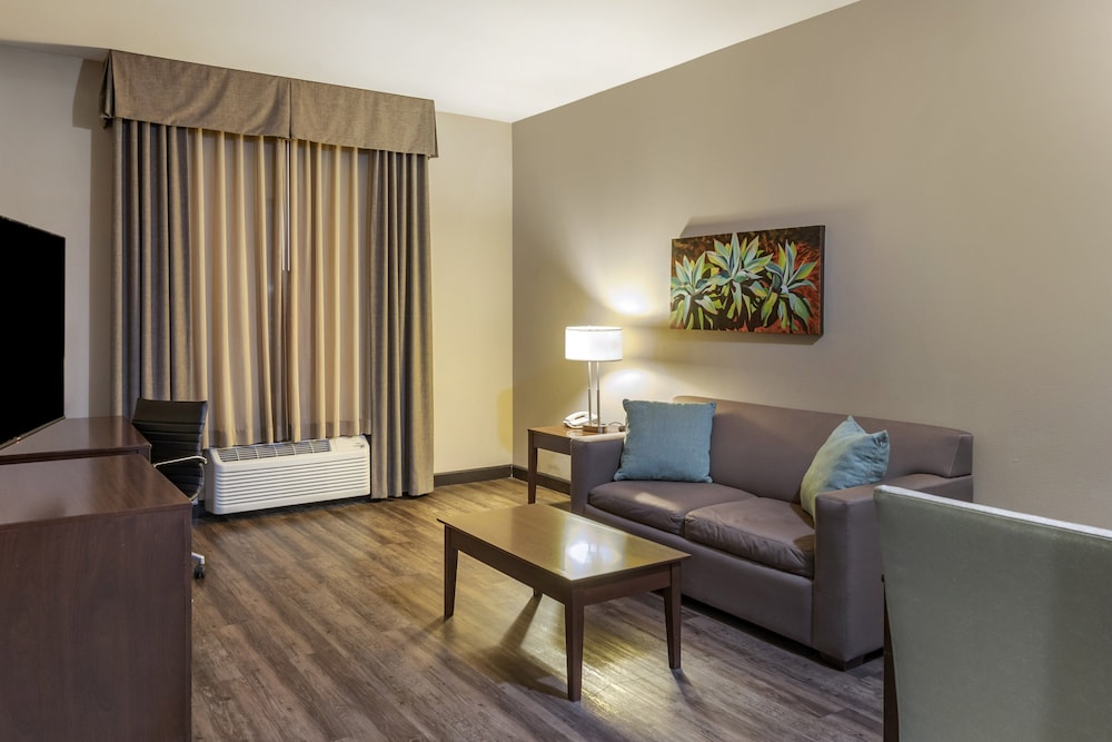 Holiday Inn Express & Suites Indio Coachella Valley by IHG - photo 31