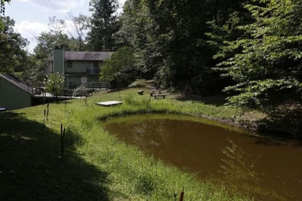 Lil Black Bear Inn - photo 140