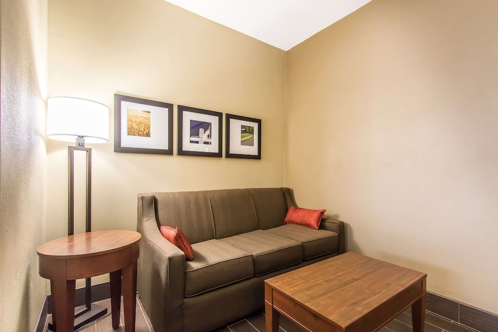 Comfort Suites Effingham Central - photo 13