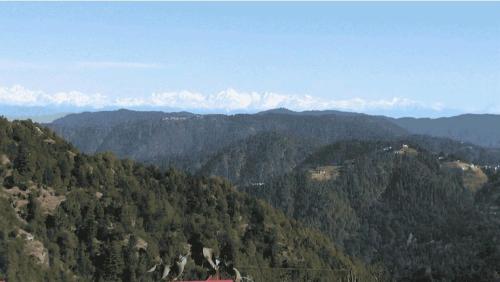 Himdarshanhomestay — Unknown City — photo 4