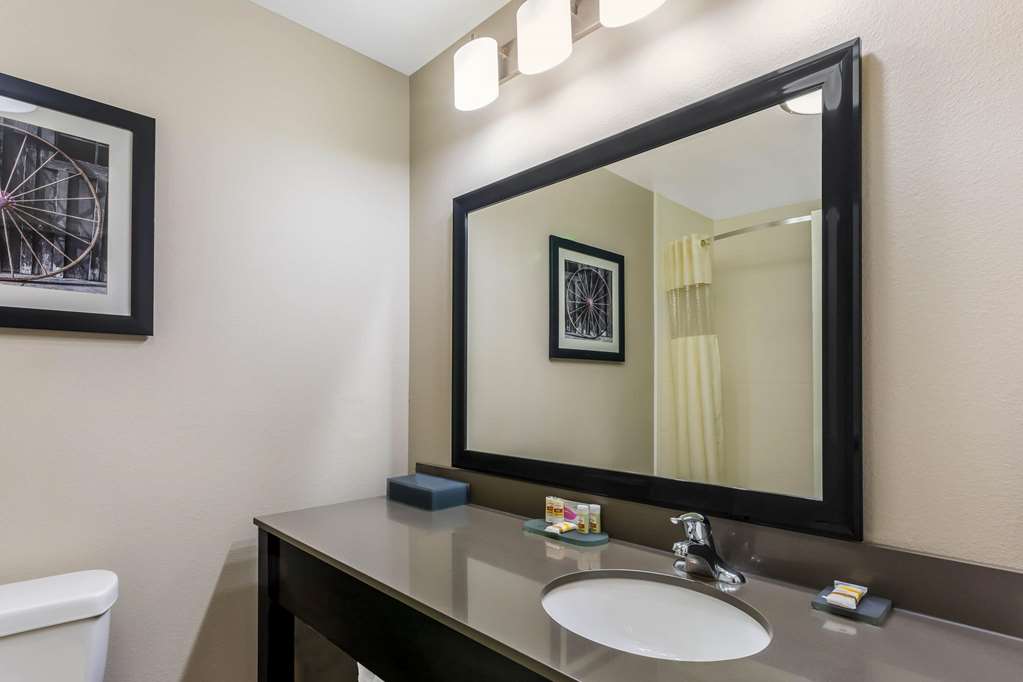 La Quinta Inn & Suites by Wyndham Monahans - photo 16