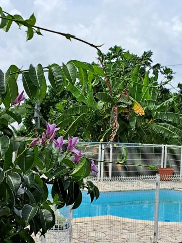 Chez Alys in Le Marin, Martinique