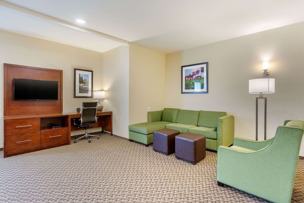 Comfort Suites Burlington near I 5 - photo 29