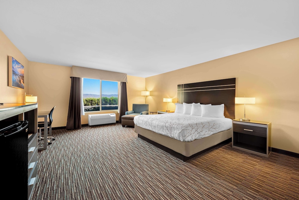 Best Western Topaz Lake Inn - photo 5