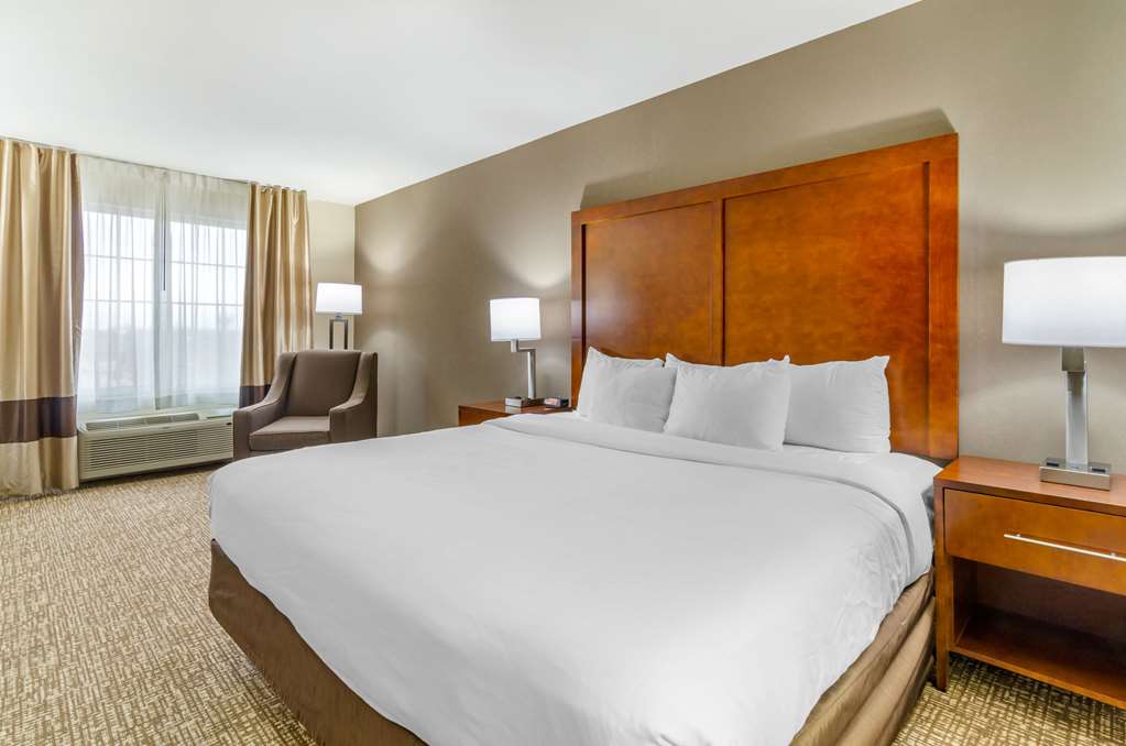 Comfort Inn & Suites near Bethel College - photo 15