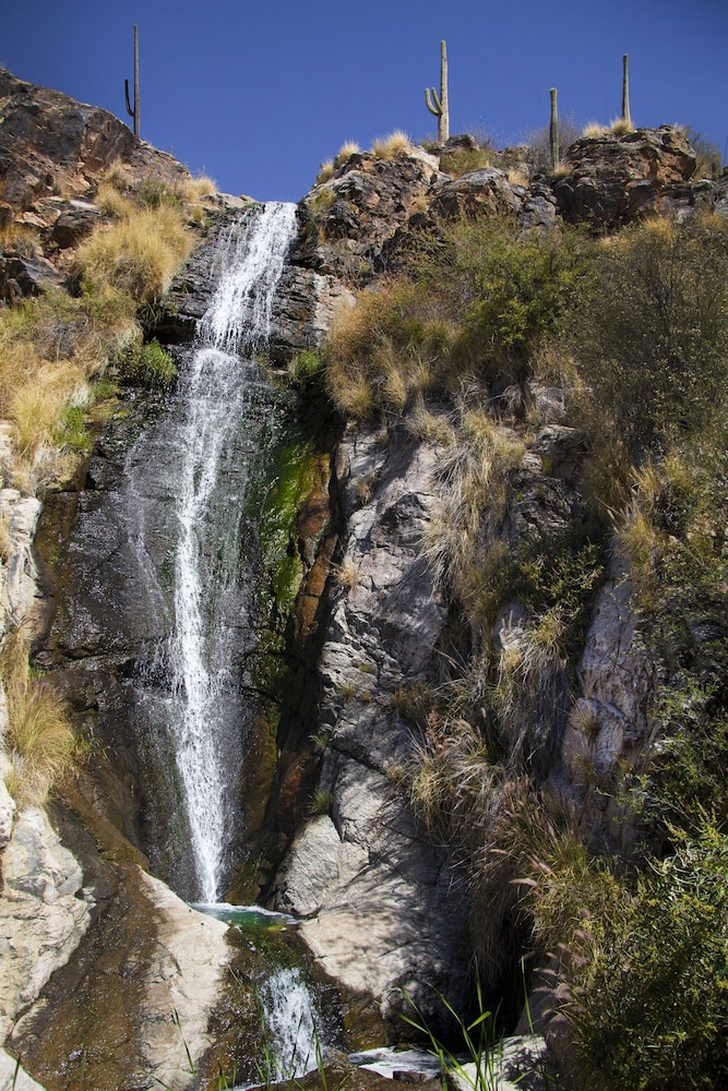 Loews Ventana Canyon Resort - photo 101