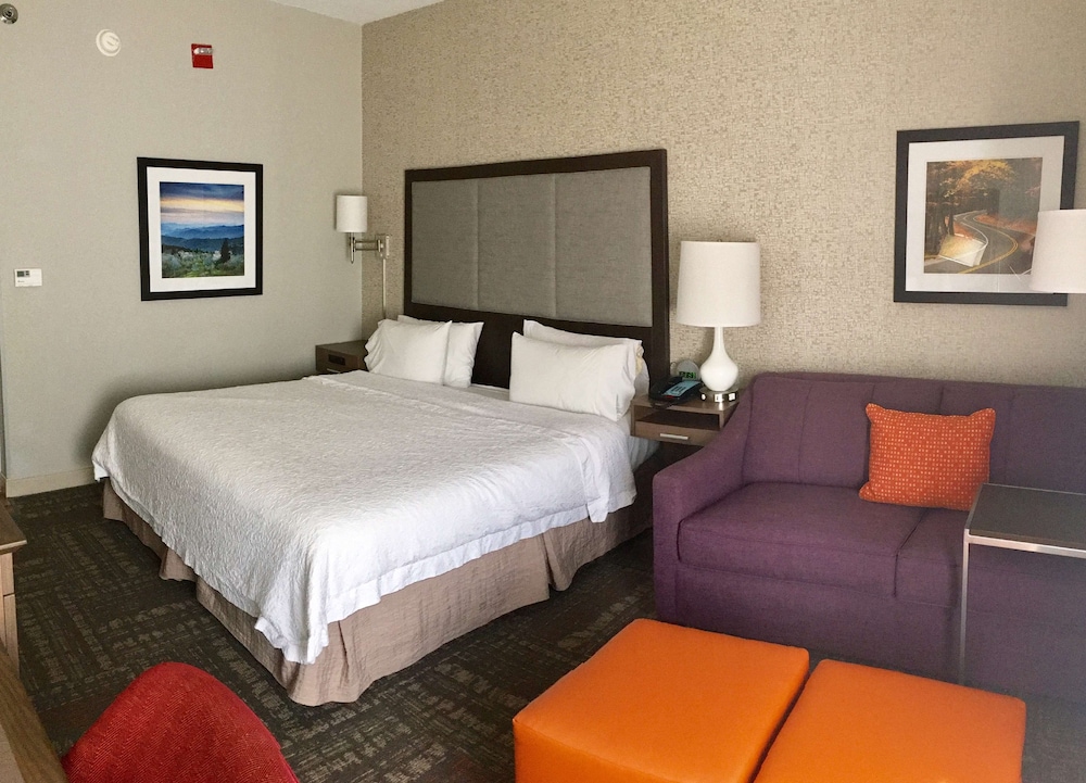 Hampton Inn Sevierville - photo 17