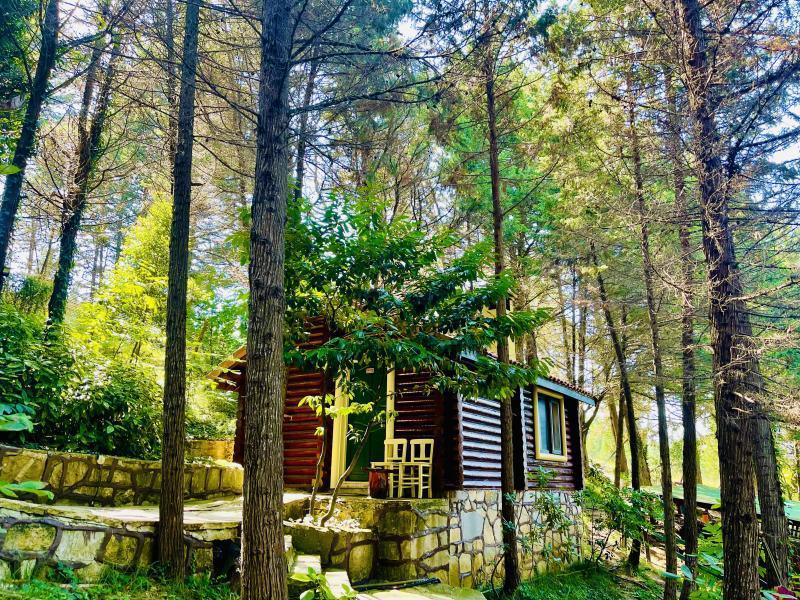 Agva Orman Evleri̇ Forest Lodge — 4-Star Luxury Hotel in Sile, Turkey
