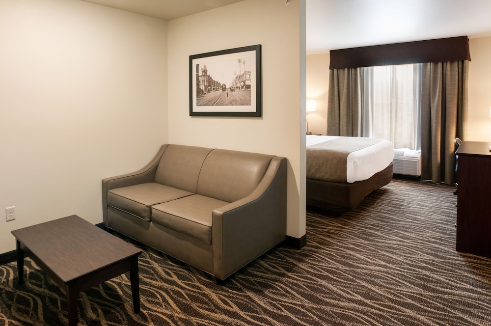 Cobblestone Hotel & Suites Stevens Point - photo 13