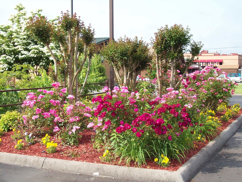 Quality Inn Clinton Knoxville North - photo 25