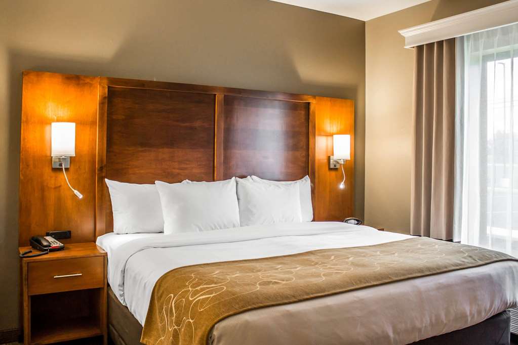 Comfort Suites Hartville North Canton - photo 21