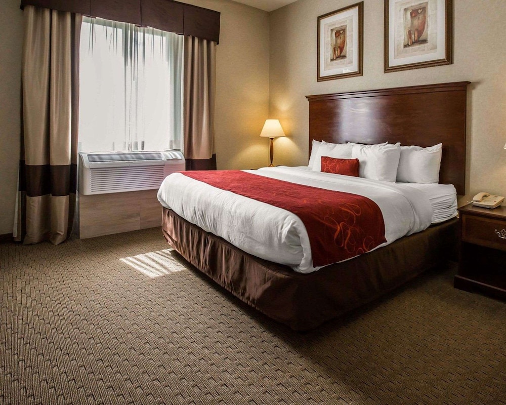 Comfort Suites Stafford Near Sugarland - photo 15