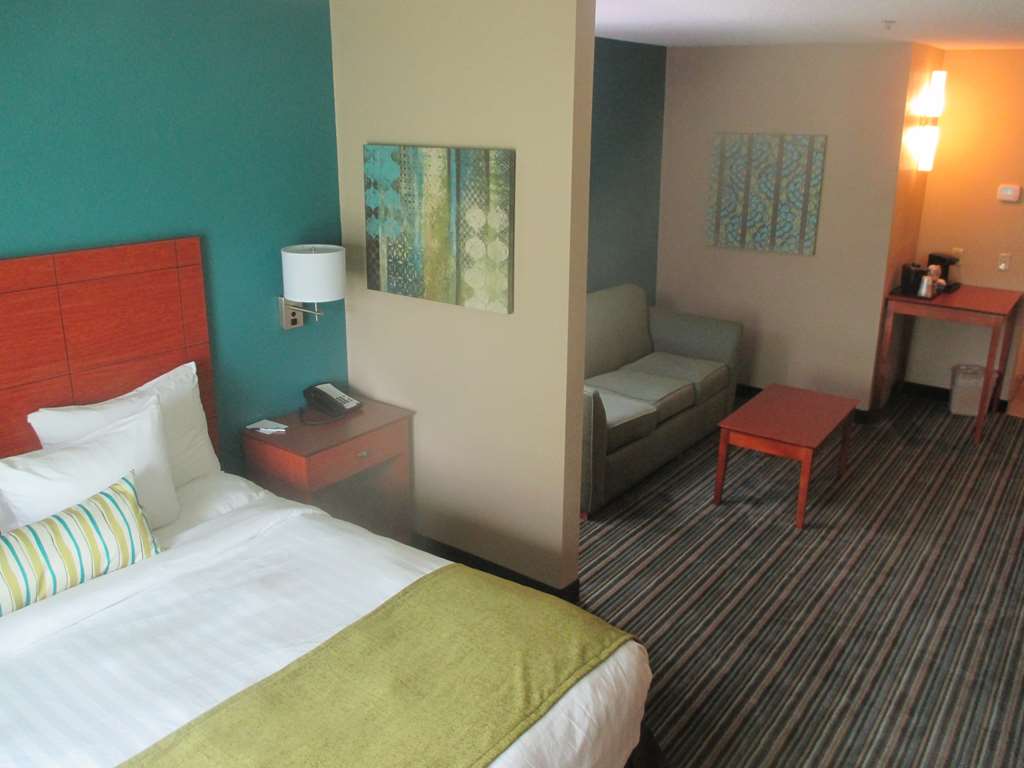 Best Western Plus Menomonie Inn & Suites - photo 12