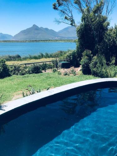 Flamingo View