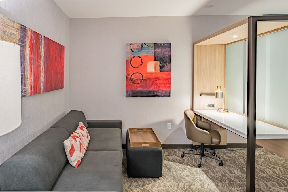 SpringHill Suites by Marriott Dallas Central Expressway - photo 25