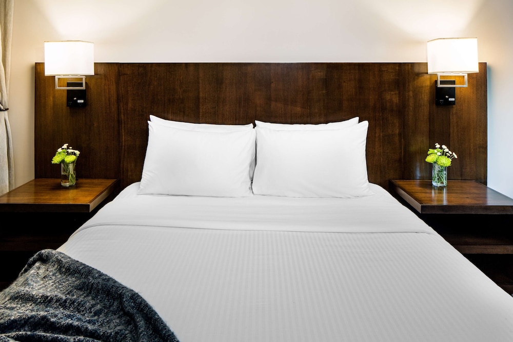 Watt Hotel Rahway Tapestry Collection by Hilton - photo 15