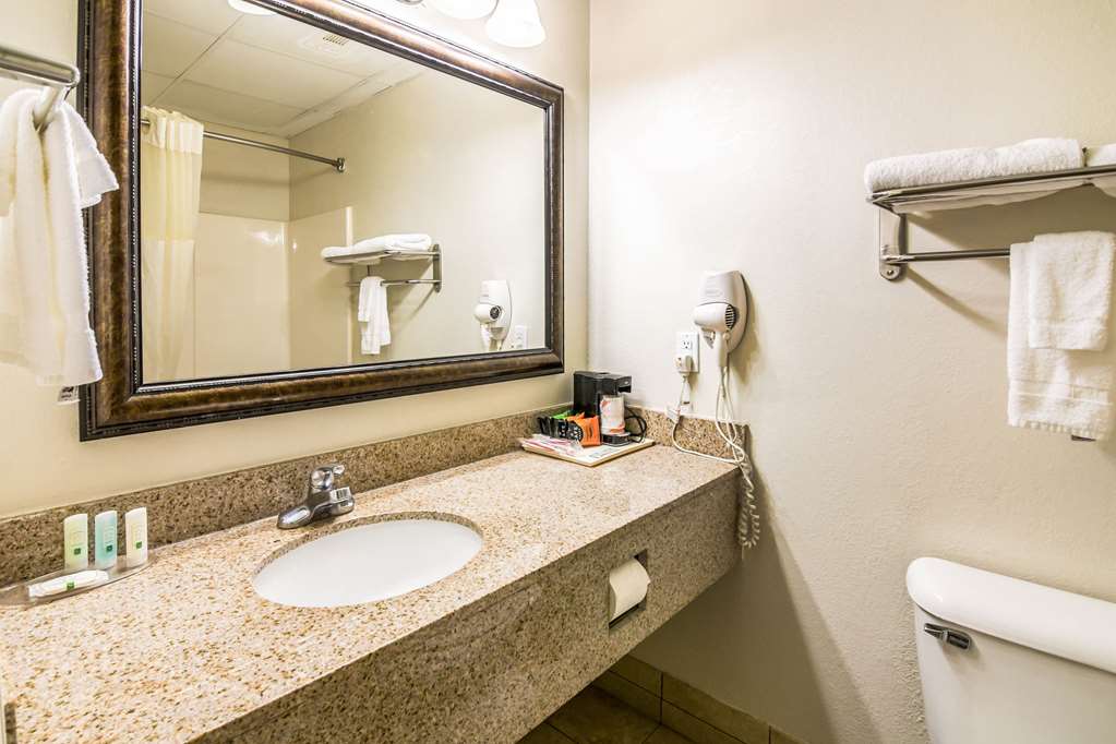 Quality Inn Alexander City - photo 29