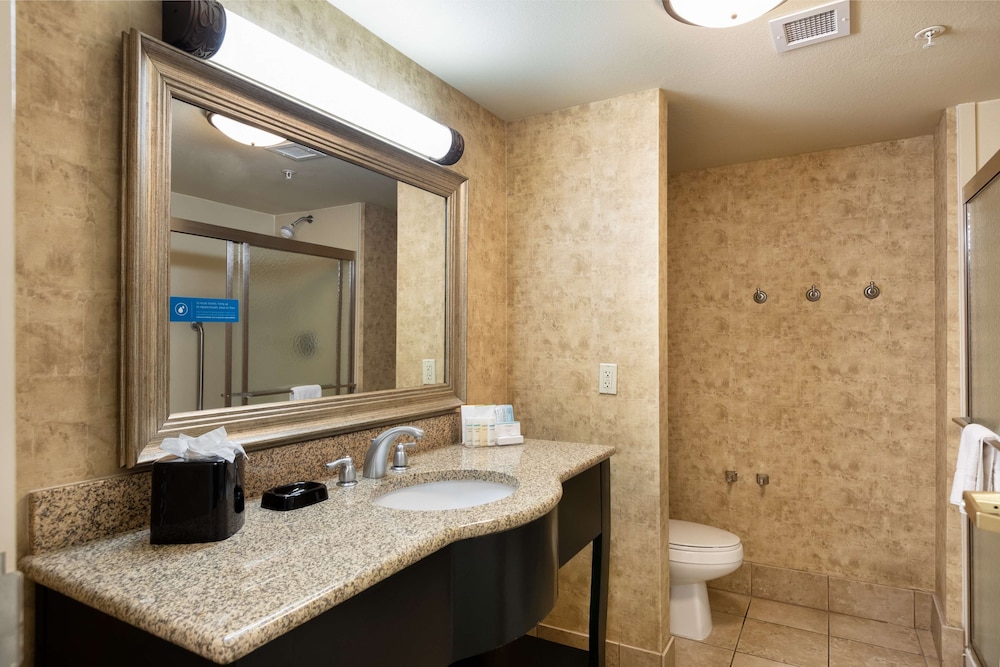 Hampton Inn & Suites Baton Rouge I 10 East - photo 37