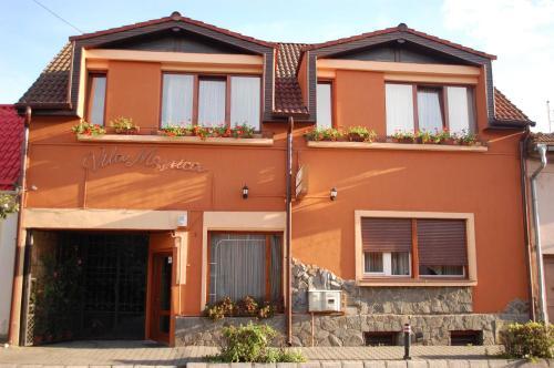 Vila Monica — 4-Star Luxury Hotel in Targu-Mures, Romania