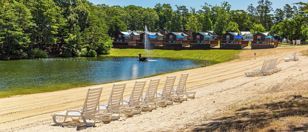 Pine Haven - photo 23