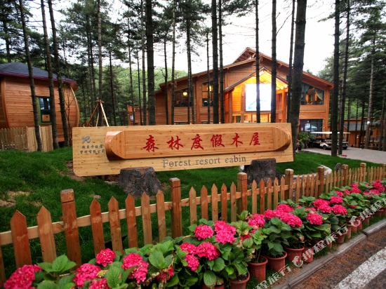 Forest Resort Cabin - carbon neutral hotel in Luoyang