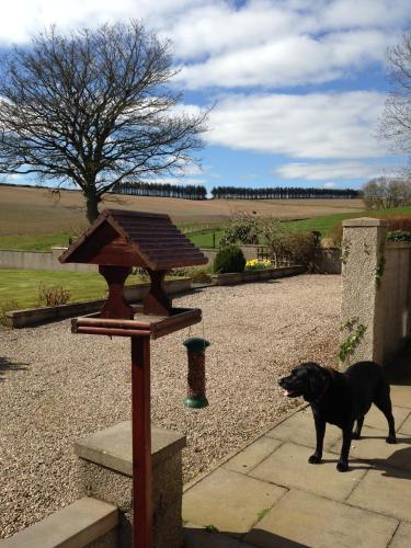 Eastwood Cottage — Turriff — photo 2