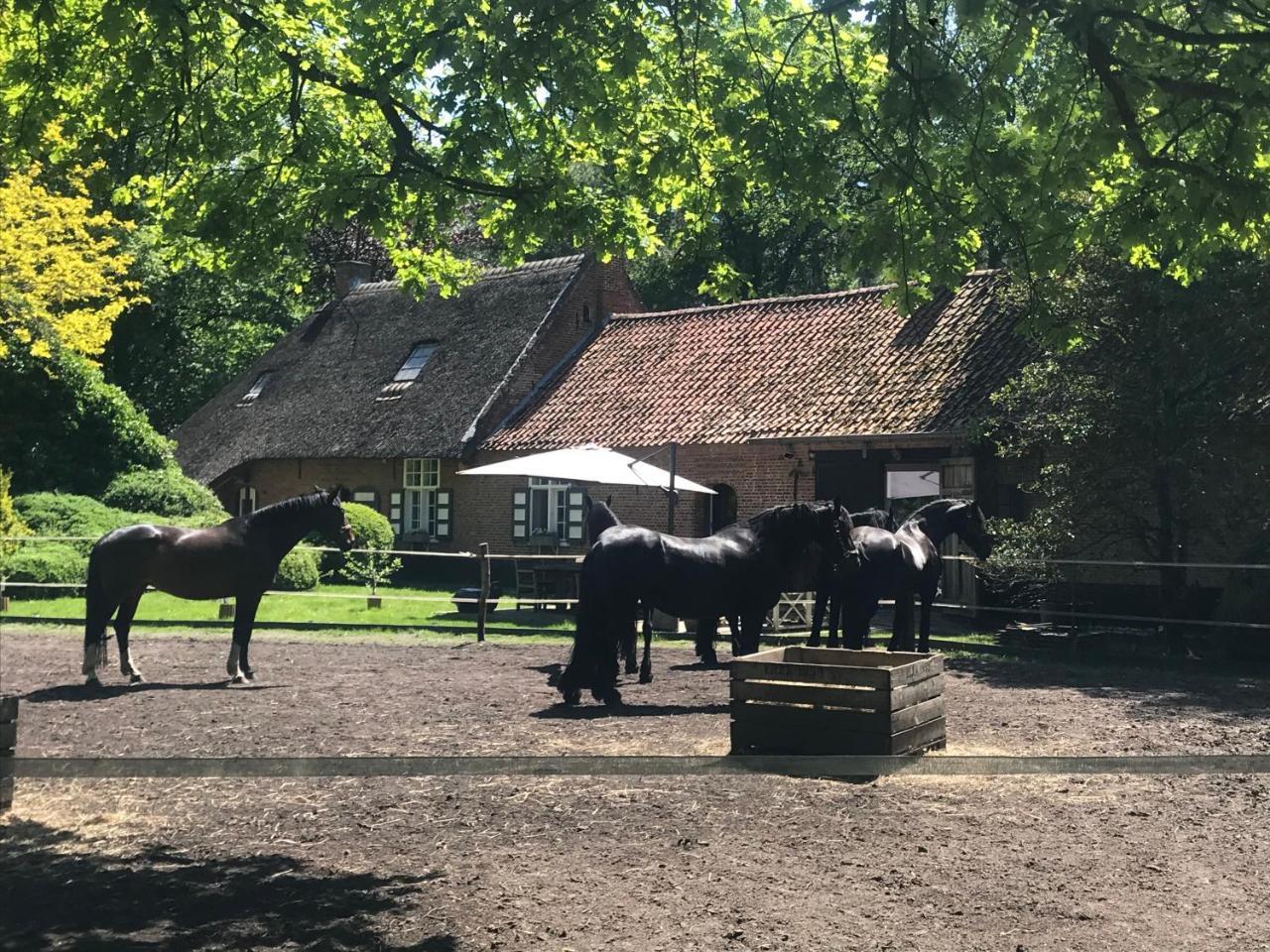 de Swaenhoeve - carbon neutral hotel in Zoersel