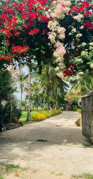 Sol De Maria Boutique Resort in Carles, Philippines