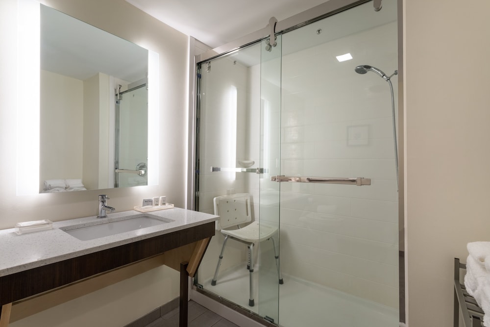 Holiday Inn Tampa North - photo 19