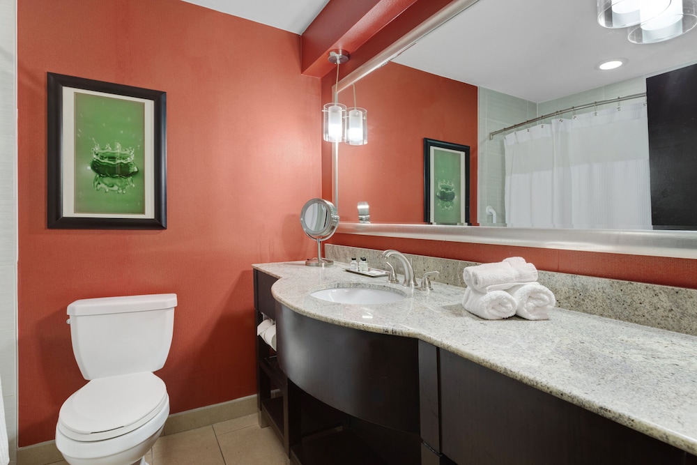 Crowne Plaza Houston Galleria Area by IHG - photo 35