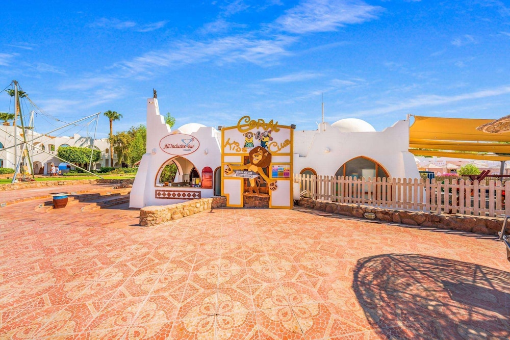 פעילויות וכושר