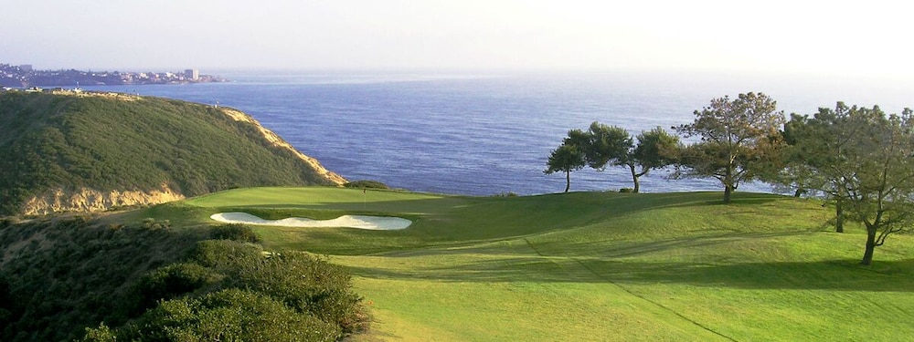 Hampton Inn San Diego Del Mar - photo 25