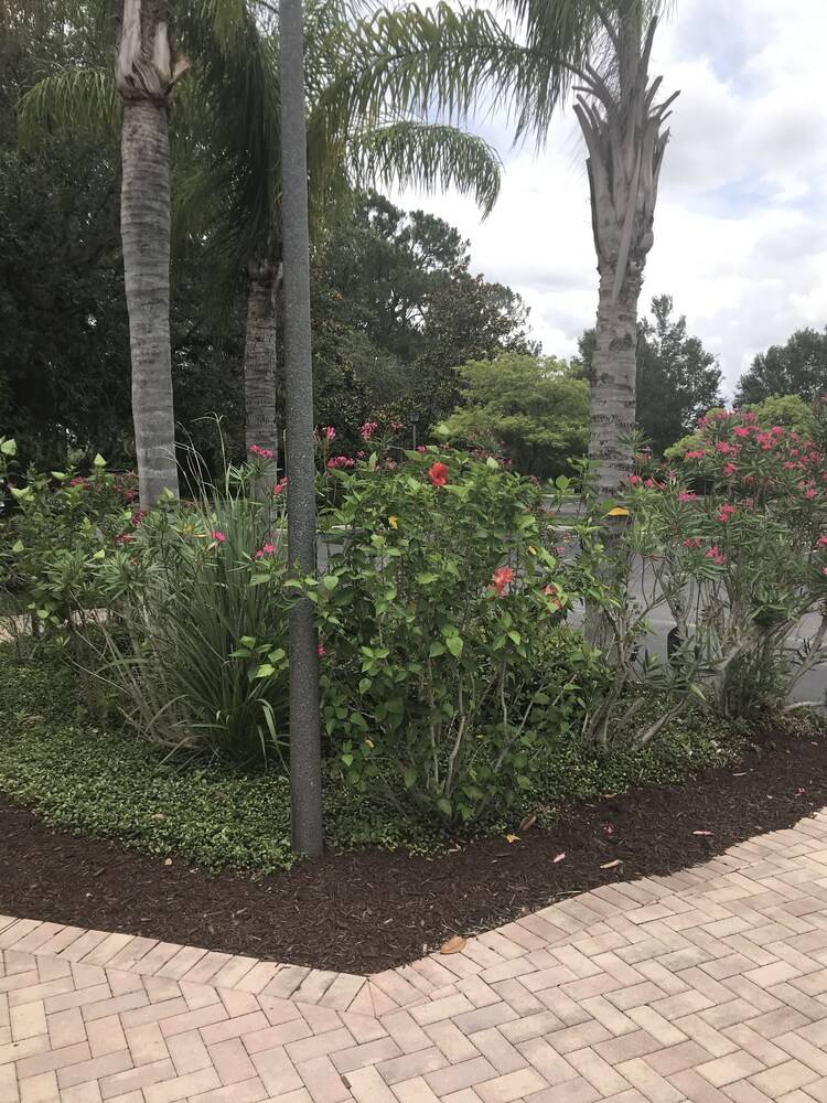 Bahama Bay Resort Orlando - photo 7