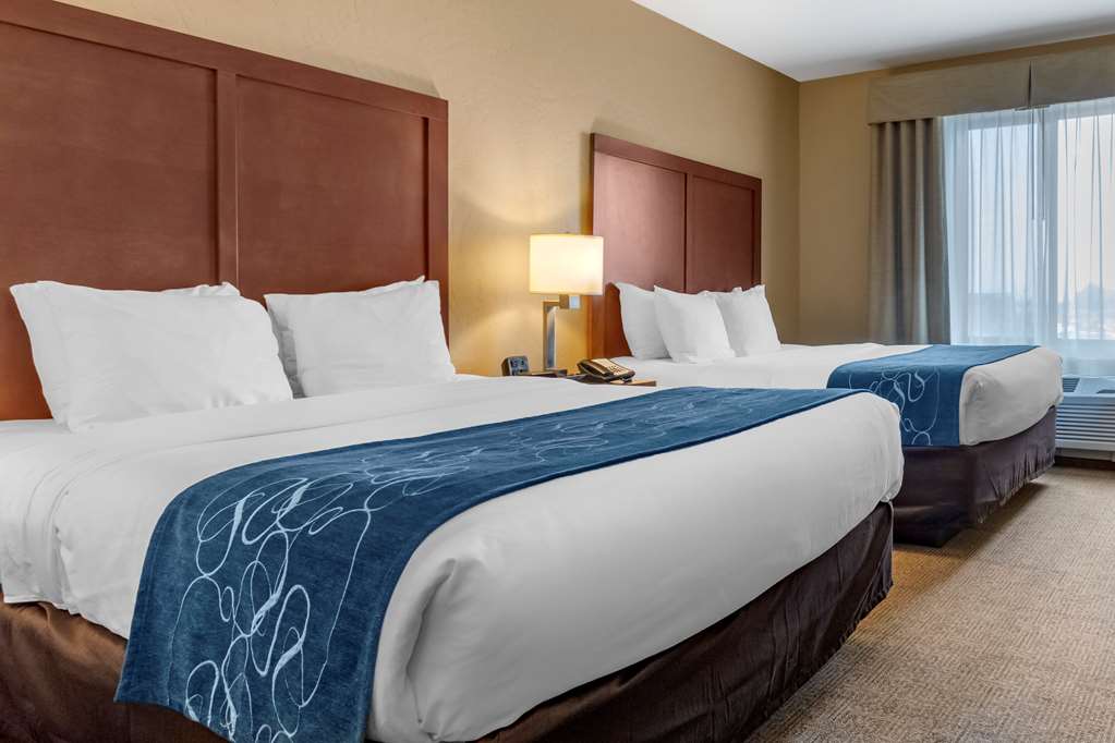 Comfort Suites Airport University - photo 16
