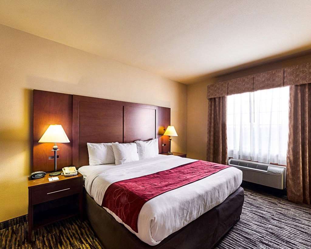 Comfort Suites McAllen Airport and La Plaza Mall - photo 6