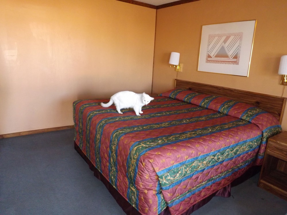 Tristar Inn Xpress - photo 23