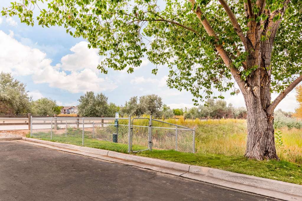 Quality Inn & Suites University Fort Collins - photo 38