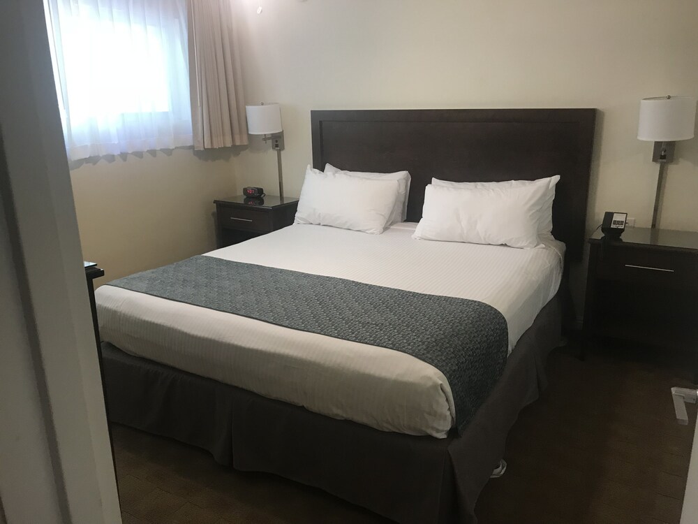 Hollywood Orchid Suites - photo 10