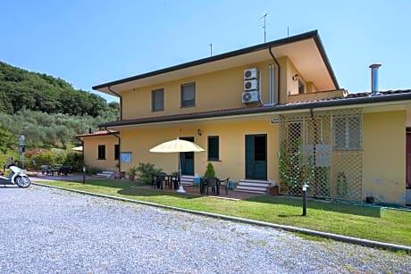 Cecco Di Nara — Massarosa