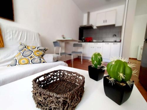Tarifa Salada — carbon neutral stay, Tarifa