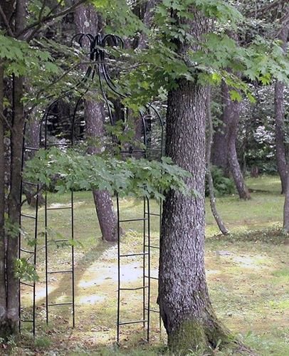 Winterwood at Petersham in Springfield, United States