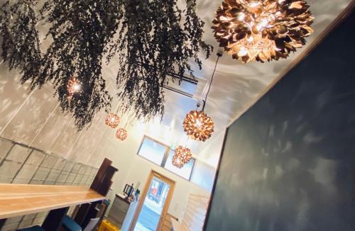 Hotel Hostel Haru — Kanoya