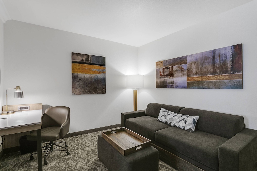 SpringHill Suites by Marriott Sacramento Natomas - photo 9